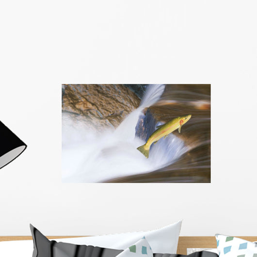 Miigrating Steelhead Salmon Leaping Over Falls Wall Mural