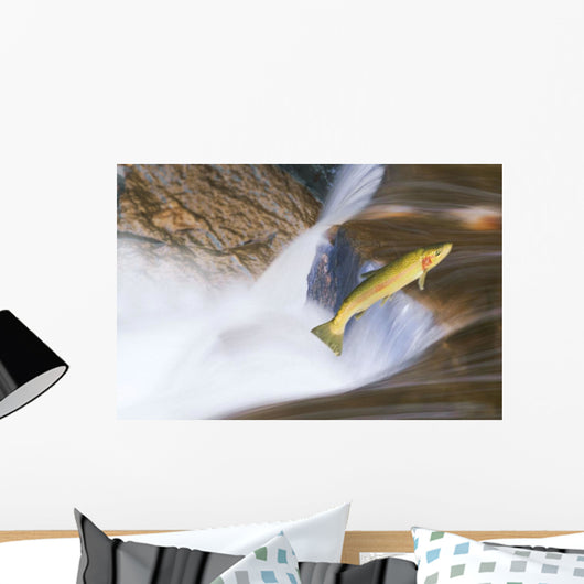 Miigrating Steelhead Salmon Leaping Over Falls Wall Mural