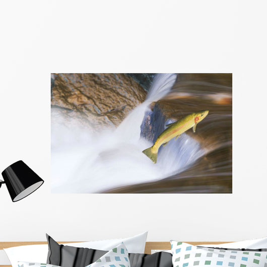 Miigrating Steelhead Salmon Leaping Over Falls Wall Mural