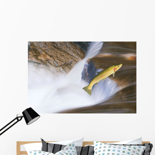 Miigrating Steelhead Salmon Leaping Over Falls Wall Mural
