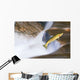 Miigrating Steelhead Salmon Leaping Over Falls Wall Mural
