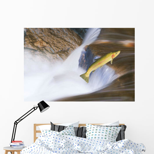 Miigrating Steelhead Salmon Leaping Over Falls Wall Mural