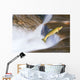 Miigrating Steelhead Salmon Leaping Over Falls Wall Mural