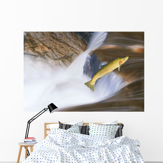 Miigrating Steelhead Salmon Leaping Over Falls Wall Mural