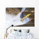 Miigrating Steelhead Salmon Leaping Over Falls Wall Mural