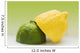 1/2 Organic Lemon And 1/2 Lime Wall Mural