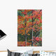 Autumn Sugar Maple Trees Algonquin Provincial Park, Ontario Canada Wall Mural