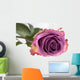 Purple Rose Wall Mural