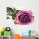 Purple Rose Wall Mural