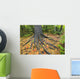 Easter White Pine Tree Trunk, Autumn Sugar Maple Wall Mural