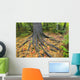 Easter White Pine Tree Trunk, Autumn Sugar Maple Wall Mural