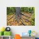Easter White Pine Tree Trunk, Autumn Sugar Maple Wall Mural