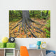 Easter White Pine Tree Trunk, Autumn Sugar Maple Wall Mural