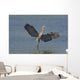 Great Blue Heron Flies Through Wetland Marsh Wall Mural