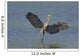 Great Blue Heron Flies Through Wetland Marsh Wall Mural