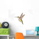 Ruby-Throated Hummingbird  Female Fairly Common In Gardens Wall Mural