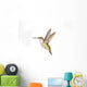 Ruby-Throated Hummingbird  Female Fairly Common In Gardens Wall Mural