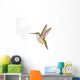 Ruby-Throated Hummingbird  Female Fairly Common In Gardens Wall Mural