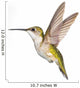 Ruby-Throated Hummingbird  Female Fairly Common In Gardens Wall Mural