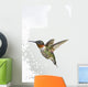 Ruby-Throated Hummingbird  Adult Males Wall Mural