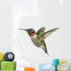 Ruby-Throated Hummingbird  Adult Males Wall Mural