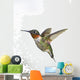 Ruby-Throated Hummingbird  Adult Males Wall Mural