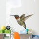 Ruby-Throated Hummingbird  Adult Males Wall Mural