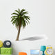 Palm Tree