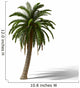 Palm Tree
