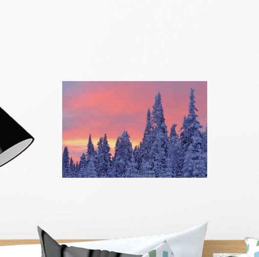 View Of Snow-Covered Trees And Sky At Twilight, Quebec, Canada Wall Mural