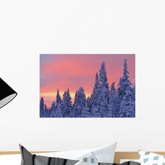 View Of Snow-Covered Trees And Sky At Twilight, Quebec, Canada Wall Mural