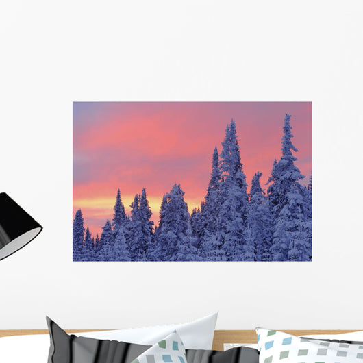 View Of Snow-Covered Trees And Sky At Twilight, Quebec, Canada Wall Mural