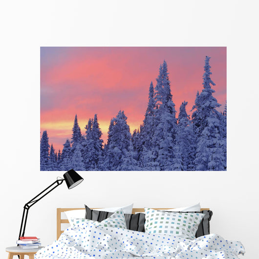 View Of Snow-Covered Trees And Sky At Twilight, Quebec, Canada Wall Mural