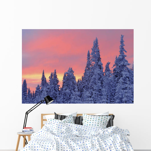 View Of Snow-Covered Trees And Sky At Twilight, Quebec, Canada Wall Mural