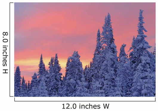 View Of Snow-Covered Trees And Sky At Twilight, Quebec, Canada Wall Mural
