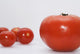 Little Tomatoes And One Big Tomato Wall Mural