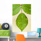 Wet Leaves, Winnipeg, Canada Wall Mural