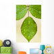 Wet Leaves, Winnipeg, Canada Wall Mural