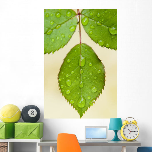 Wet Leaves, Winnipeg, Canada Wall Mural