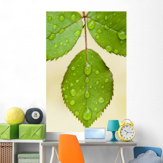 Wet Leaves, Winnipeg, Canada Wall Mural
