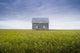 Old House, Manitoba, Canada Wall Mural
