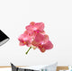 Pink Orchid Wall Decal