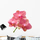 Pink Orchid Wall Decal