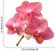 Pink Orchid Wall Decal