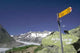Glacier D'aletsch Wall Decal