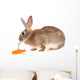 Rabbit with Meal Wall Mural