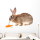 Rabbit with Meal Wall Mural