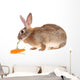 Rabbit with Meal Wall Mural