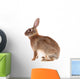 Brown Rabbit Wall Decal