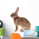 Brown Rabbit Wall Decal